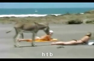 XXX con điếm hàn quốc xxx bú